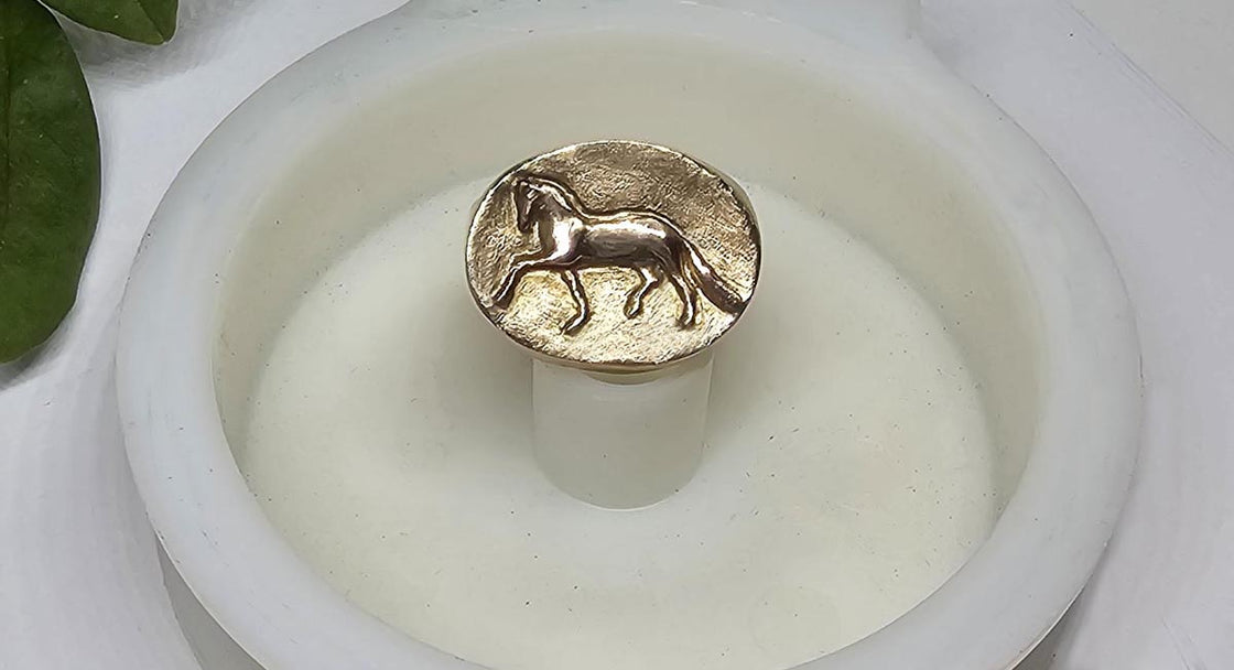 Fancy Trot Horse Ring