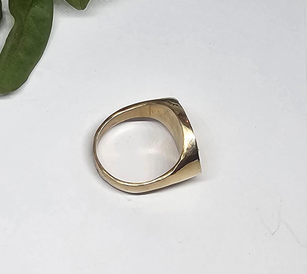 Fancy Trot Horse Ring