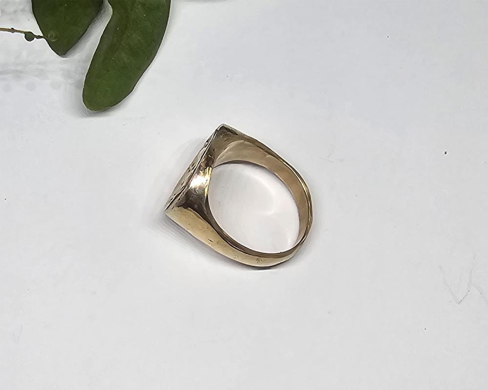 Fancy Trot Horse Ring