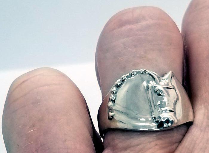 Dressage Horse Classic Ring