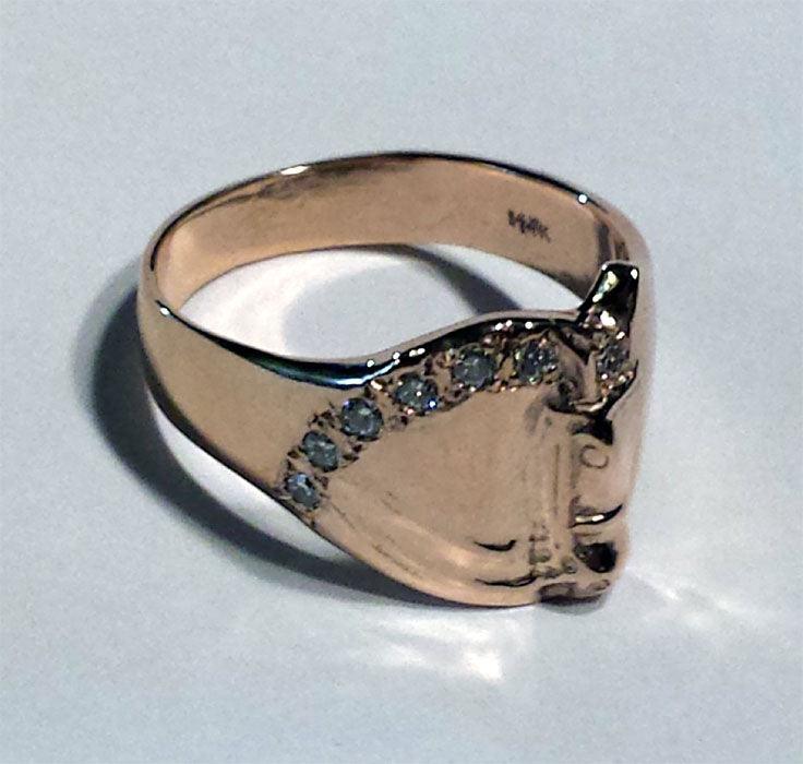 Dressage Horse Classic Ring - Tempi Design Studio