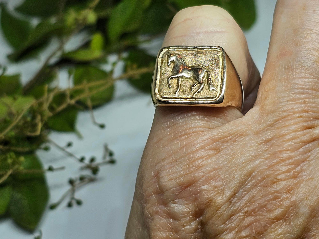 Dressage Horse Piaffe Square Top Ring