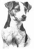 Jack Russell Dog Pendant Sterling - Tempi Design Studio